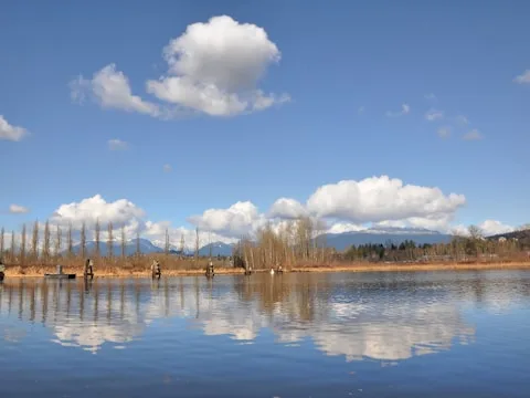 Burnaby neighbourhood listing area