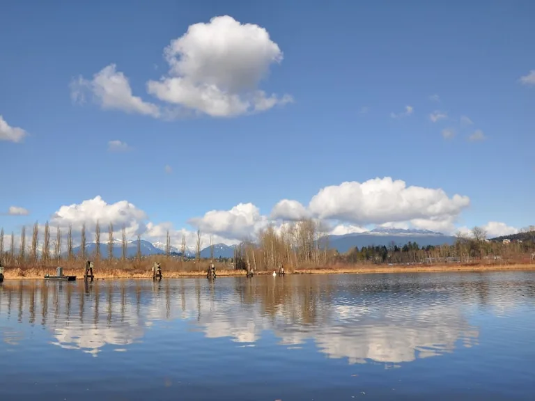Burnaby neighbourhood listing area