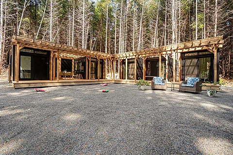 Contemporary timber home framed by a birch forest