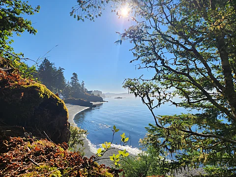 Golden hour light over a rocky coastal shoreline near Sooke