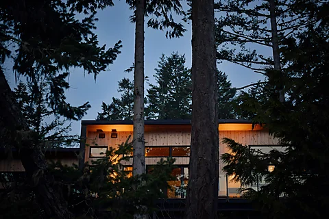 Warm-lit cedar cabin glowing at dusk among tall coastal trees