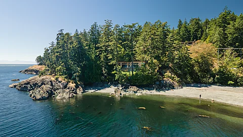 Aerial view of a rocky, forested coastline near Sooke