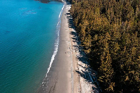 Aerial looking straight down a forested beach