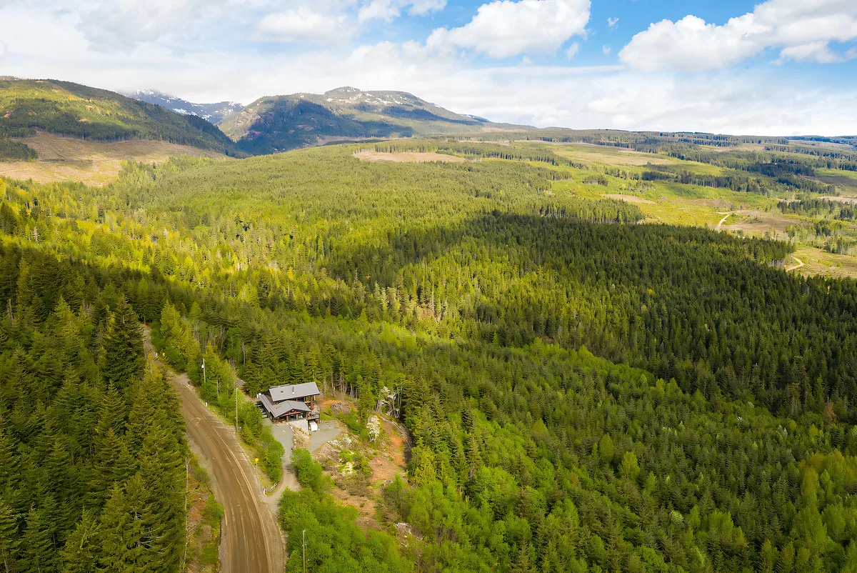 Aerial view of a road running through dense British Columbia forest