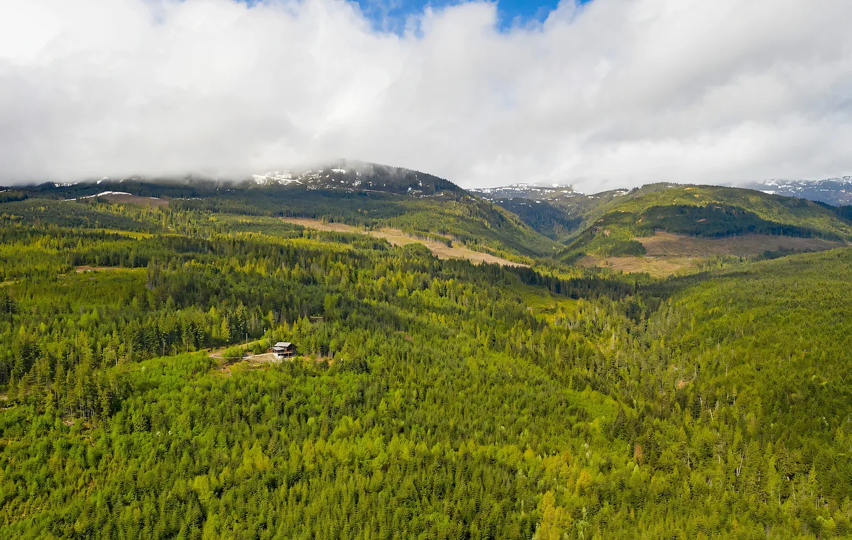 Aerial view of forested mountains under cloud in British Columbia