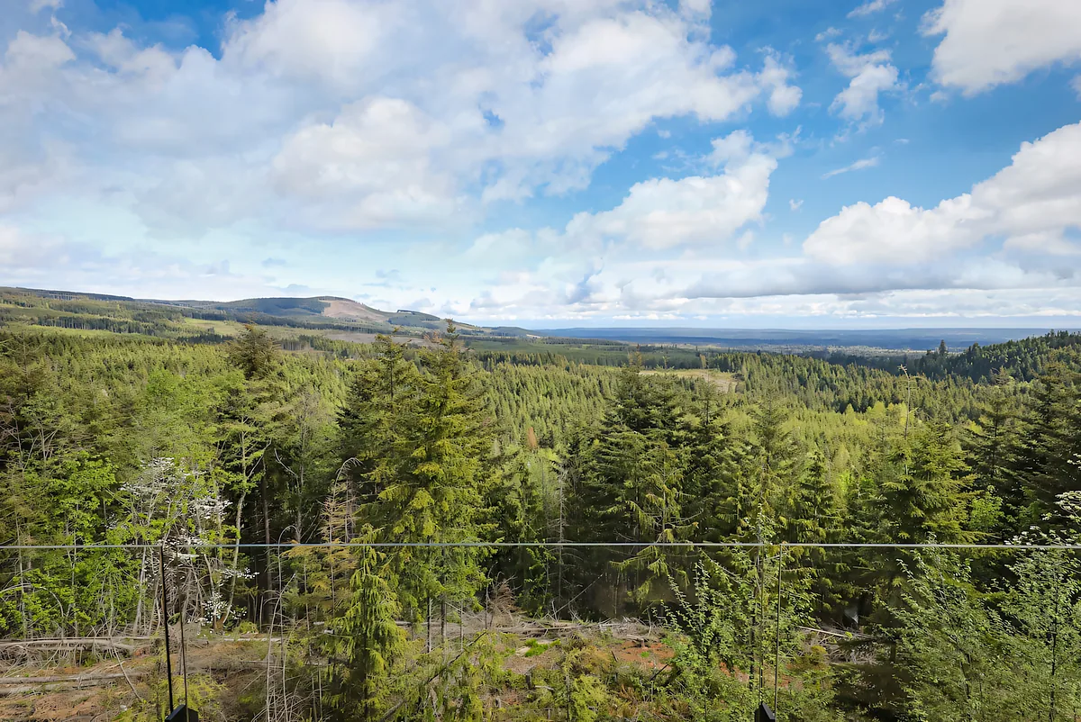 Aerial view along a forested ridgeline with mountains behind