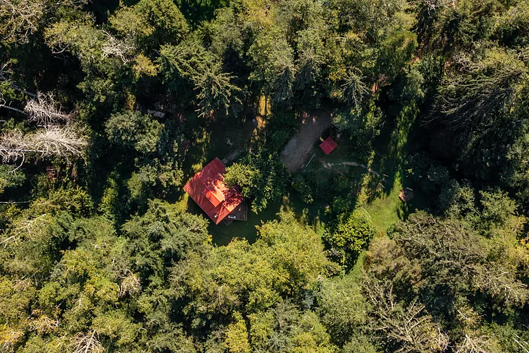 Overhead aerial of a red-roofed property in dense forest