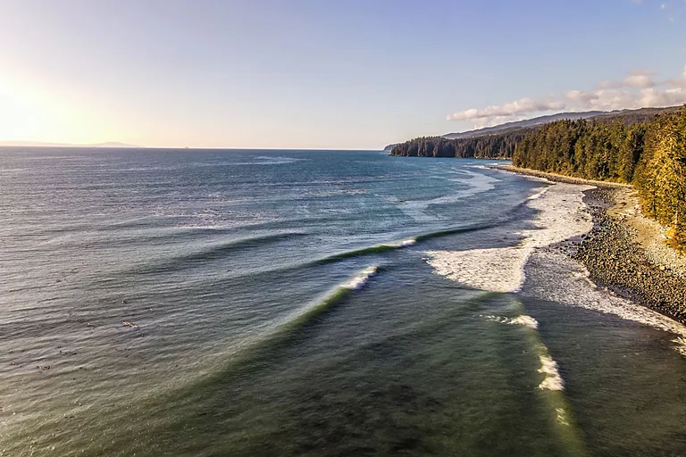 Aerial of surf lines along a forested headland